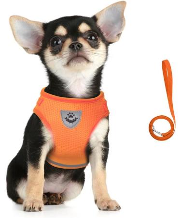Buy Femax Dog Harness & Linen Set - Soft Mesh Padded for Puppies & Cats Reflective Adjustable Breathable Breastplate for Walking Running Training - XS (26-29 cm) Orange - Buy Online on GoSupps.com
