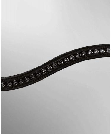 Buy Passier Apollo Black Patent Bridle with Special Noseband & Reins - VB Size for Horses | International Shipping Available - Buy Online on GoSupps.com