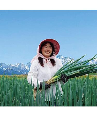Scallion and Ponzu dressing (Soy Sauce Based)Scallion and Ponzu dressing (Soy Sauce Based) Best fit for Japanese Food / Nabe / Ponzu - Buy Online on GoSupps.com