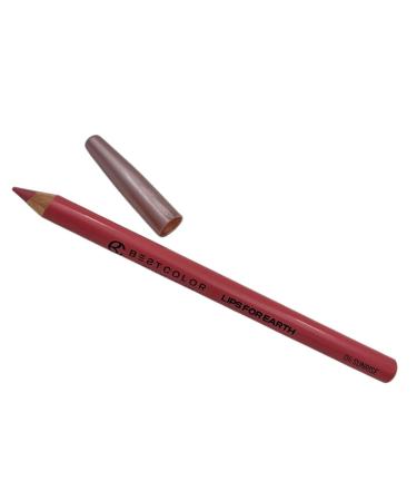 BESTCOLOR Best Color Lips For Earth Crayon Contour L vres 04 Sunrise 8H
