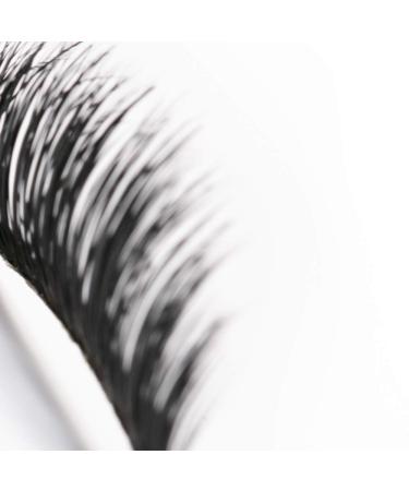 Jolly Dim by Inglot Spectacular Eyelashes | Easy to Use Natural Look | International Shipping Available - Buy Online on GoSupps.com