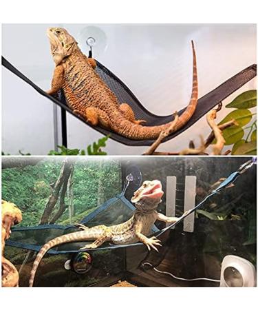 QUUPY 2 Reptile Hammock Set Triangle Breathable Net Breathable Mesh Lizard hammock for Large and Small Bearded Dragons Anoles Geckos Lizards or Snakes 33x33x48cm Black - Buy Online on GoSupps.com