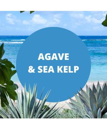 Copper Creek Agave & Sea Kelp (Type Compatible with) Scented Crafting Fragrance Oil for Bath and Body Products Perfumes and Candles 1 Oz - Buy Online on GoSupps.com