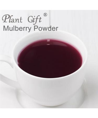 100% Natural Pure Mulberry Powder 100/3.52oz pour la cuisson jus de fruits smoothies yaourts et boissons th s | sans conservateur sans remplissage sans additifs - Buy Online on GoSupps.com