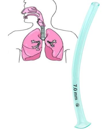 Disposable Nasopharyngeal Airway - Respiratory Health Care Tool - Buy Online on GoSupps.com