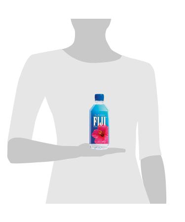 FIJI Natural Artesian Water 16.9 Fl Oz - Refreshing Hydration in a Single Bottle - Buy Online on GoSupps.com