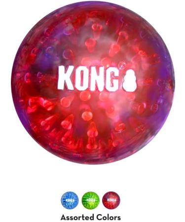 KONG Lionel Richie Squeezz Geodz Size L Pack of 2 Assorted Colours Multi - Buy Online on GoSupps.com