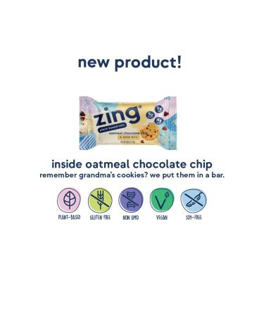 Buy Zing Oatmeal Chocolate Chip Kids Protein Bars - Gluten Free 100 Calorie Vegan Nutrition Bars High Protein & Low Sugar 18 Count - Buy Online on GoSupps.com
