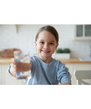 SodaStream ORGANIC Ginger Ale Syrup - Makes 3.5L Refreshing Beverage in Seconds | 500ml - Fresh & Delicious! - Buy Online on GoSupps.com