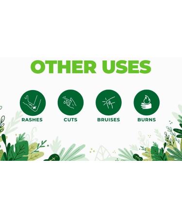 GoHeal Ointment - Clinically Proven for Non-Healing Wounds, Bed Sores, Pressure Sores, Venous Ulcers, and More - Buy Online on GoSupps.com