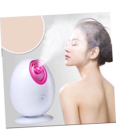 DRESSOOS 1pc Face Humifigier Steamer for Face Hair Steamer Portable Humidifiers White and Face Steamer - Buy Online on GoSupps.com