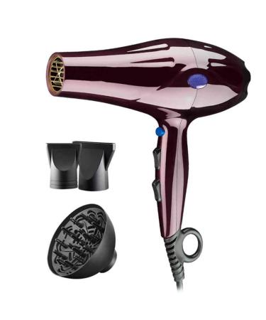 2200W Ionic Hair Dryer Professtional Hair Dryer Salon Hairdryer 2 Speed and 3 Heat with Cool Button Diffuser and Concentrator Overheat Protection Low Noise Lightweight for Home Use Travel