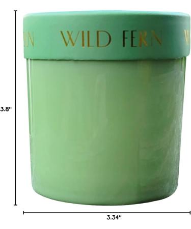 Shop Paddywax Firefly Optimist Scented Candle - 7oz Soy Wax Wild Fern Fragrance Reusable Glass Jar | International Shipping Available - Buy Online on GoSupps.com