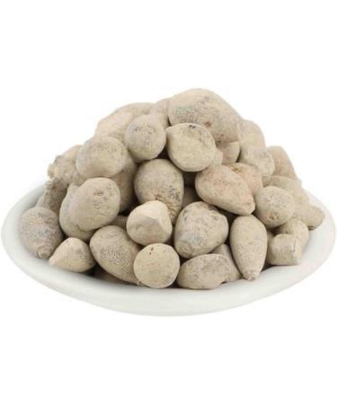 RAW HERBS/JADI BOOTI DRIED BER PATTHAR BER PATHAR HAJRUL YAHOOD FOSSIL ENCRINITE (50GM) - Buy Online on GoSupps.com
