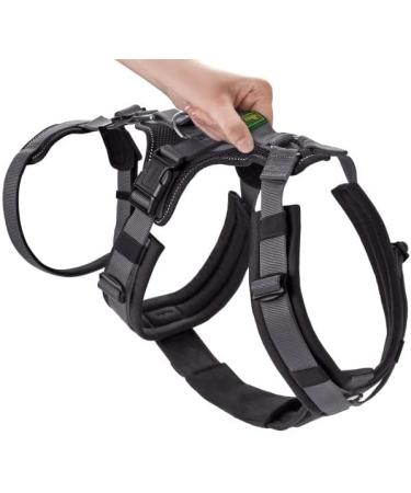 Safety Harness Maldon - Black/Grey XS | International Shipping Available - Buy Online on GoSupps.com
