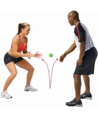 HECOstix Reaction Balls - Baseball & Softball Agility Trainer - Buy Online on GoSupps.com