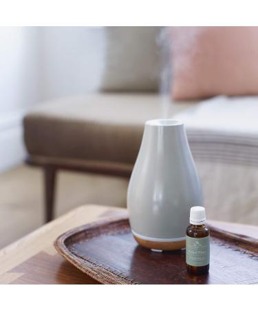 Soap & Paper Factory Roland Pine 1 oz Fragrance Oil - Premium Scent for Home & DIY Projects | International Shipping Available - Buy Online on GoSupps.com