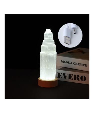 Stone Natural Crystal Gemstones Decor Lamp Jewelry Selenite Stone Led Lamp White Plaster Stone Home Bedroom Balance Gemstone Decoration ERTEYIN (Size : 15x4.5cm)