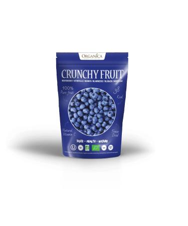 ORGANICA CRUNCHY BLUEBERRY FRUIT