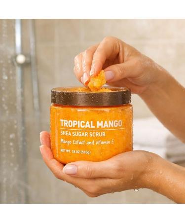 Mango Scent Body Scrub with Sugar and Shea Textured Exfoliating Body Care Cream for Routine Skin Use Wide Jar Format 18 oz - Buy Online on GoSupps.com
