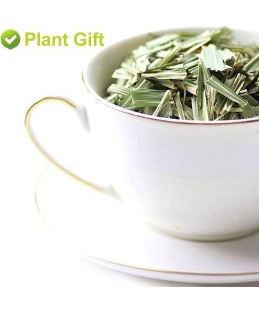 Flower 2 (35g-Lemongrass) - Buy Online on GoSupps.com