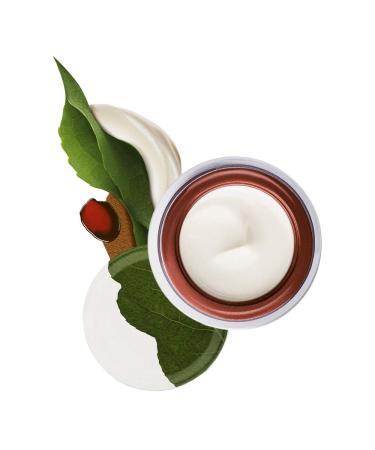 Buy Natura Revitalization & Filling Face Cream 60ml - Anti-Aging Skincare for All Skin Types - International Shipping Available - Buy Online on GoSupps.com