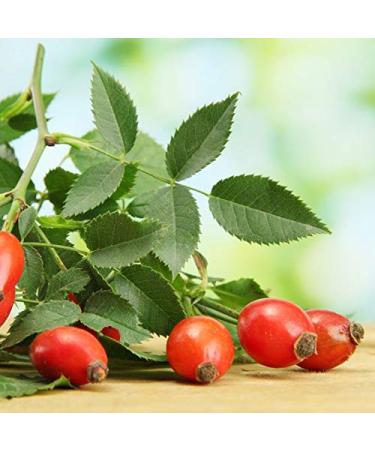 500g Organic Rosehip Powder | Certified Organic Quality | Sun-Ripened Whole Fruits | Finely Ground Superfood - Buy Online on GoSupps.com