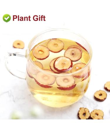 Flower 2 (80G-Red Dates) - Buy Online on GoSupps.com