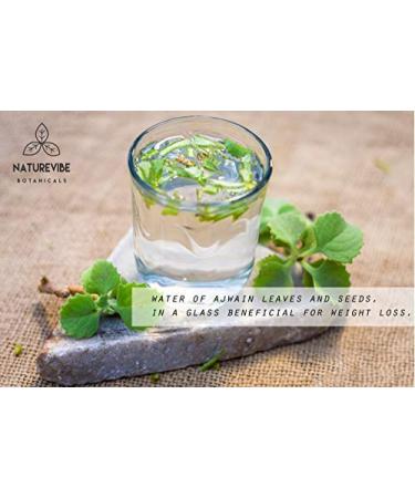 Naturevibe Botanicals Organic Ajwain Seeds 1lb - Carom Seeds Whole, Non GMO, Gluten Free - Digestion Aid - 16oz (Pack of 1) - Buy Online on GoSupps.com