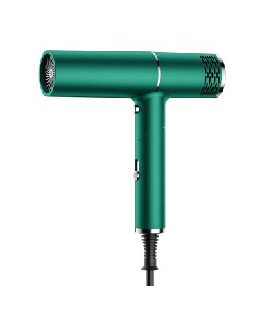Hair Dryer 1800W Professional Ionic Hair Dryer Powerful Blow Dryer for Fast Drying Compact & Folding Blow Dryer for Family Travel Salon Use. (Green) Green-2