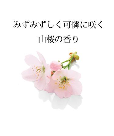 ICHIKAMI 150g Japanese Herb Cream | Deep Moisturizing Skincare for All Skin Types - Buy Online on GoSupps.com