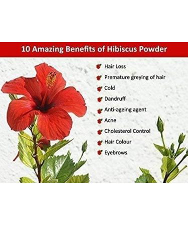 NIGHT Herbal Care Hibiscus Hair Powder Unisex 100 g - Buy Online on GoSupps.com