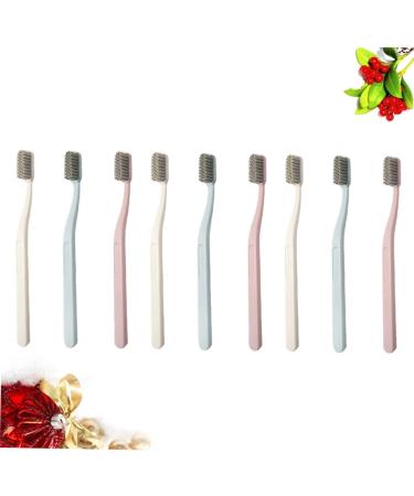 Minkissy 9 Pack Nylon Toothbrushes - Oral Care Tools for Women & Guests | Bulk Cleaning Brushes for Travel & Dentist Use - Buy Online on GoSupps.com