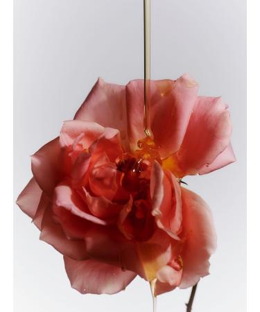 Flamingo Estate Women's Jasmine & Damask Rose Hand Soap 16 Fl Oz (Pack of 1) Green - Buy Online on GoSupps.com