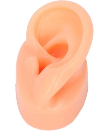 Silicone Ear Model - Soft Simulation Hearing Tool for Sound Aid Display (Left Ear) - Fleshcolor with Black Stand - 1 Count - Buy Online on GoSupps.com