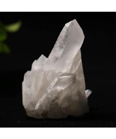 1PC Natural White Crystal Cluster Irregular Quartz Stone Specimen for Home Fish Tank Garden Bonsai Decoration Crystal Cluster (Color : Crystal Cluster 1pc Size : 80-120g) 80-120g Crystal Cluster 1pc - Buy Online on GoSupps.com