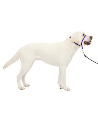 PetSafe Gentle Leader Collar with Training DVD deep purple Large 60-130 Lb.