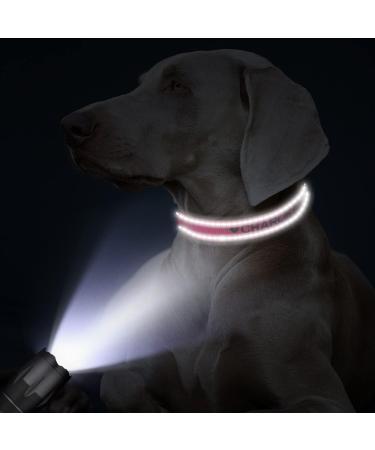 Personalized Dog Collar for Small Dogs Embroidered Reflective Nylon Pet Name & Phone Number Hot Pink XS Tagme (1 Pack) - Buy Online on GoSupps.com