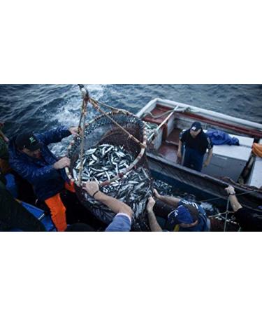 Tuna Fillets in Water - Natural Tuna Fillets 6 x 120g | Tenorio - Premium Quality from Portugal | Buy Online Worldwide - Buy Online on GoSupps.com