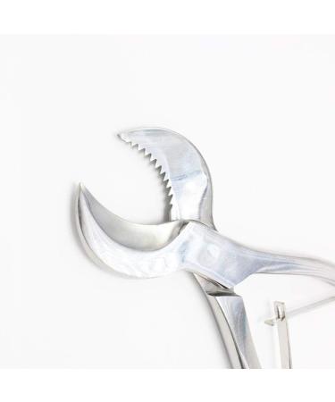 Dental Pliers Plaster Nippers Cutter - Cow Horn Jaws, Serrated Blade, Spring Action (Large) - Hbmol - Buy Online on GoSupps.com