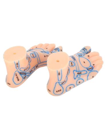 Foot Acupuncture Model - 13 cm Waterproof Teaching Tool for Acupuncturists & Students | Ideal Educational Resource - Buy Online on GoSupps.com