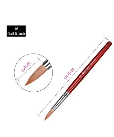 Mrotech Acrylic Nail Brush for Nail Art & Gel Nails - 16 # | Professional Quality Nail Brush for Acrylics & Art Painting - Buy Online on GoSupps.com