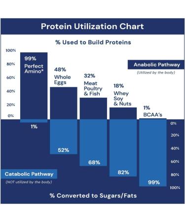 BodyHealth PerfectAmino Electrolytes Powder No Sugar, Keto Sugar Free Fasting Electrolytes Drink Mix, Hydration Powder with Trace Minerals - Mixed Berry - 60 Servings Mixed Berry 10.6 Ounce (Pack of 1) - Buy Online on GoSupps.com