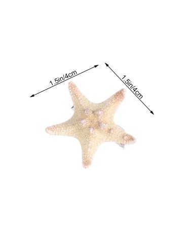 Handmade Natural Sea Star Hair Clips - Set of 2 | Cute Starfish Hair Pins for Girls, Kids & Women | Random Size - Buy Online on GoSupps.com