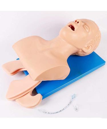Oral Nasal Tracheal Intubation Manikin Adult Electronic Tracheal Intubation Manikin Training Simulator Airway Management Trainer
