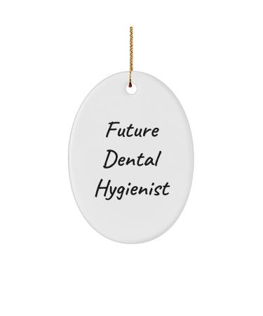 Dental Hygienist Oval Ornament Funny Quote 'Future Dental Hygienist' Gifts for Men Women Friends Coworkers Family Christmas Unique Gifts from Men to Women etc.