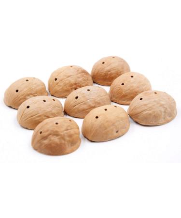 Chengyida Walnut Shell for Moxa - 10pcs for Eye Moxibustion & Myopia Relief | International Shipping Available - Buy Online on GoSupps.com