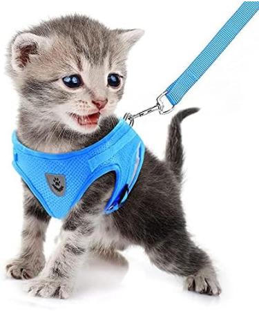 Buy Femax Dog Harness & Linen Set - Soft Mesh Reflective Adjustable & Breathable for Dogs Puppies and Cats | Ideal for Walking Running & Training (Breast 30-34 cm) - Azure - Buy Online on GoSupps.com