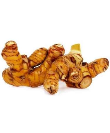 Neel Ayurvedics Collins | Panjal | Long | Collins | Paan Jadd | Paan Root | On Jade - 250 GM