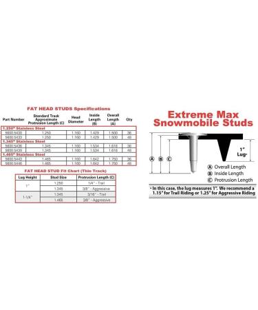 Extreme Max 5600.5436 Fat Head Studs - 1.345 - Pack of 36 - Buy Online on GoSupps.com
